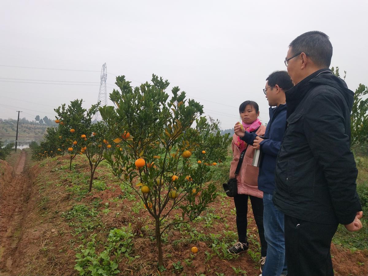 罗江金山最新招聘信息概览