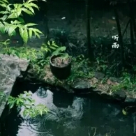 招商内容 第44页